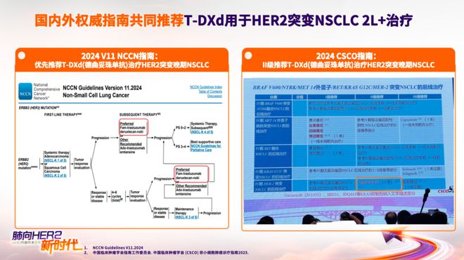 肺向金陵“HER2肺癌精准论坛”南京场开启治疗新篇章(图2)