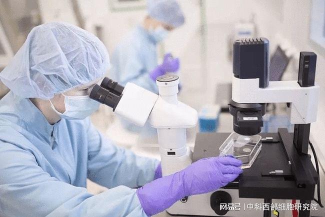 间充质干细胞一针费用细胞治疗真实效果怎么样？(图1)