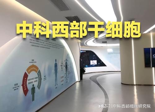 间充质干细胞一针费用细胞治疗真实效果怎么样？(图2)