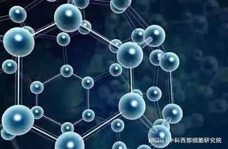 间充质干细胞一针费用细胞治疗真实效果怎么样？(图3)