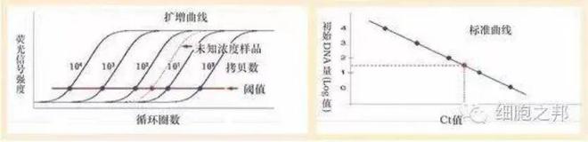 荧光定量PCR实验方法设计(图4)