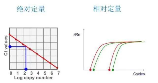 荧光定量PCR实验方法设计(图1)