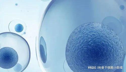 多地政策出台细胞产业加速驶入千亿级健康产业快车道(图1)