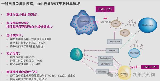 2025第一笔Newco出海！康诺亚CD38单抗超36亿美元授权Timberlyne(图3)