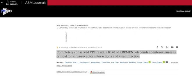 mBio张超课题组在KREMEN1受体广谱识别A族肠道病毒的分子机制方面取得新进展(图1)
