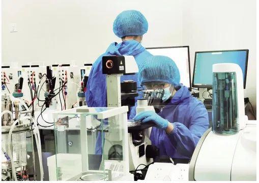 国内首个新蛋白食品科技创新基地落户北京丰台(图2)