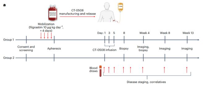 NatureMedicine：首个CAR-巨噬细胞疗法临床试验结果公布安全有效治疗晚期实体瘤(图2)