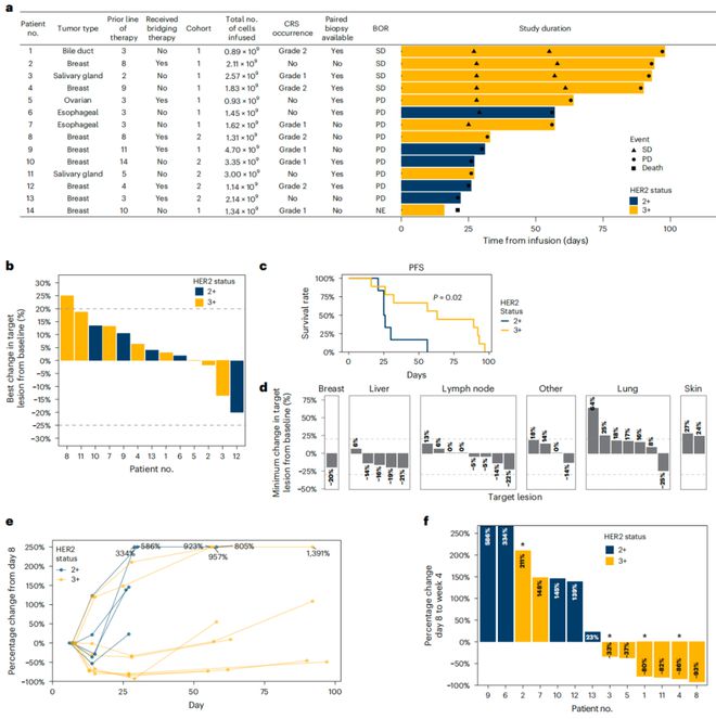 NatureMedicine：首个CAR-巨噬细胞疗法临床试验结果公布安全有效治疗晚期实体瘤(图3)