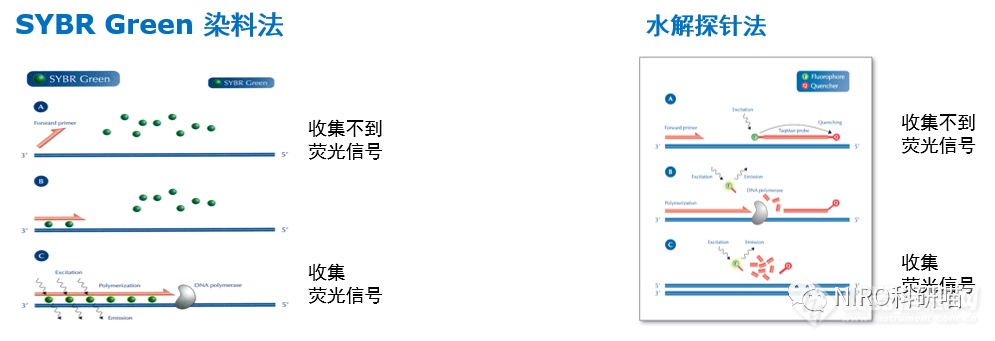qPCR实验你会做吗？qPCR试剂你会选择吗？（附全教程）(图1)