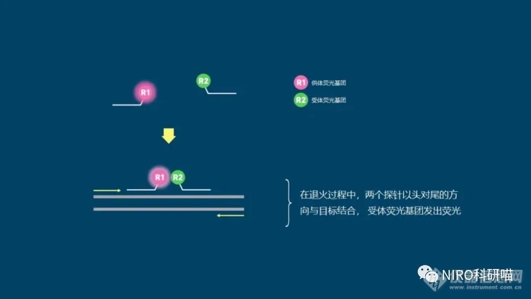 qPCR实验你会做吗？qPCR试剂你会选择吗？（附全教程）(图4)