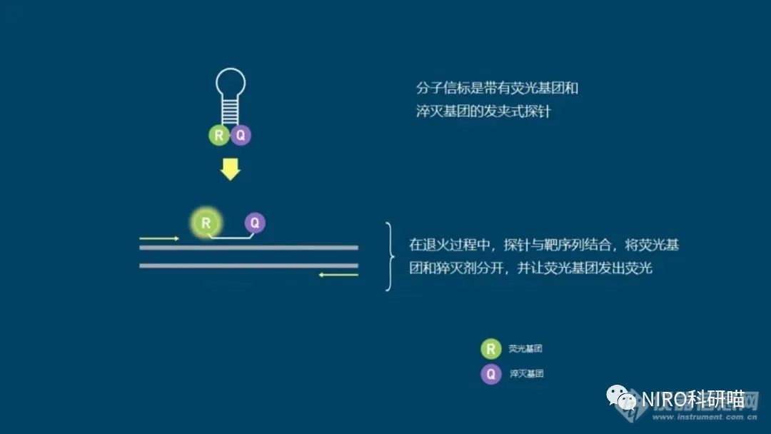 qPCR实验你会做吗？qPCR试剂你会选择吗？（附全教程）(图5)