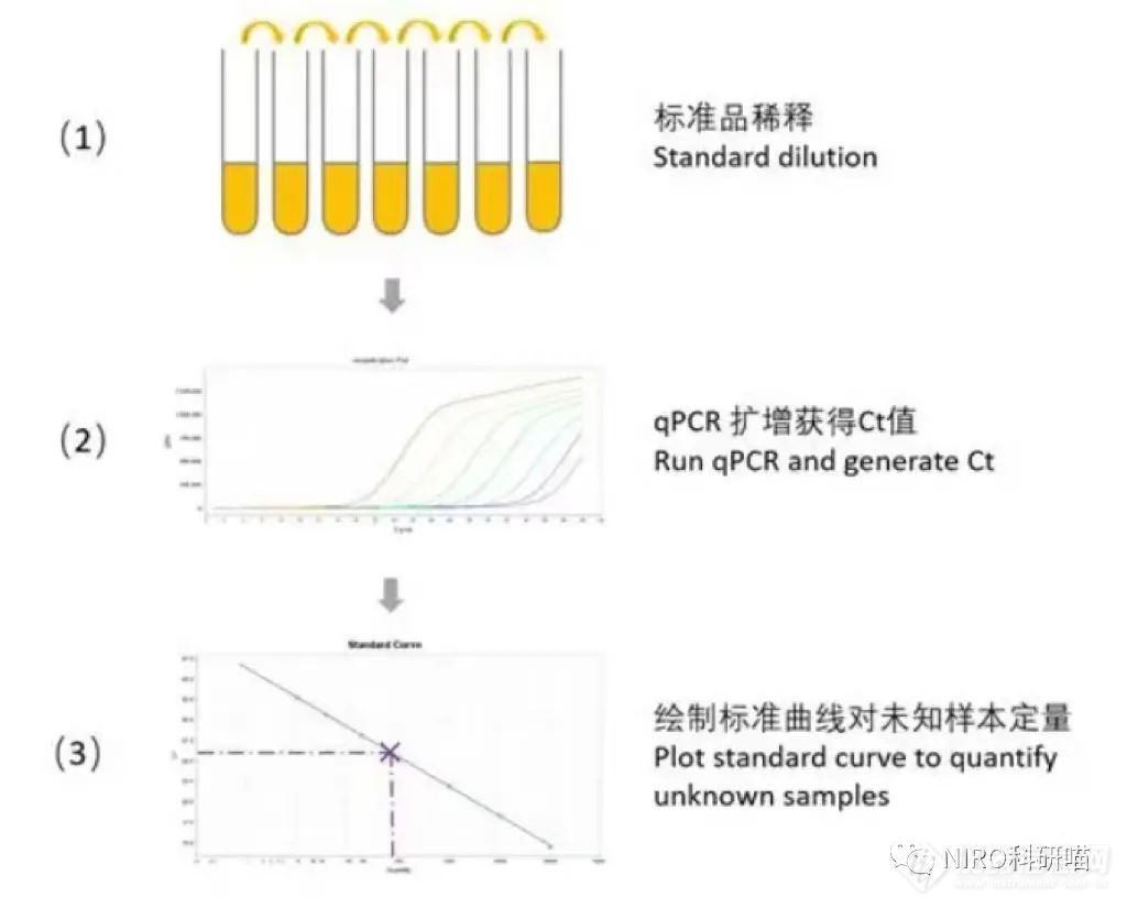qPCR实验你会做吗？qPCR试剂你会选择吗？（附全教程）(图6)