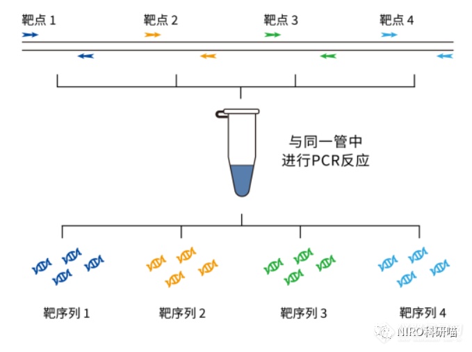 qPCR实验你会做吗？qPCR试剂你会选择吗？（附全教程）(图10)