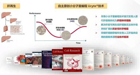 正式开工！又一生物医药企业扎根闵行(图1)