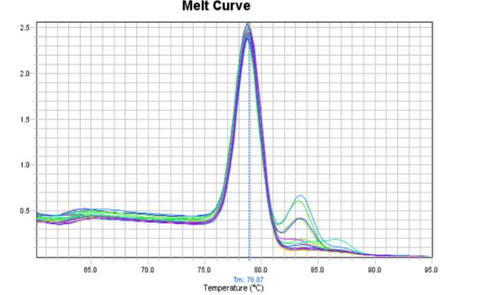 荧光定量PCR反应结束无扩增曲线出现这个问题的常见原因(图1)