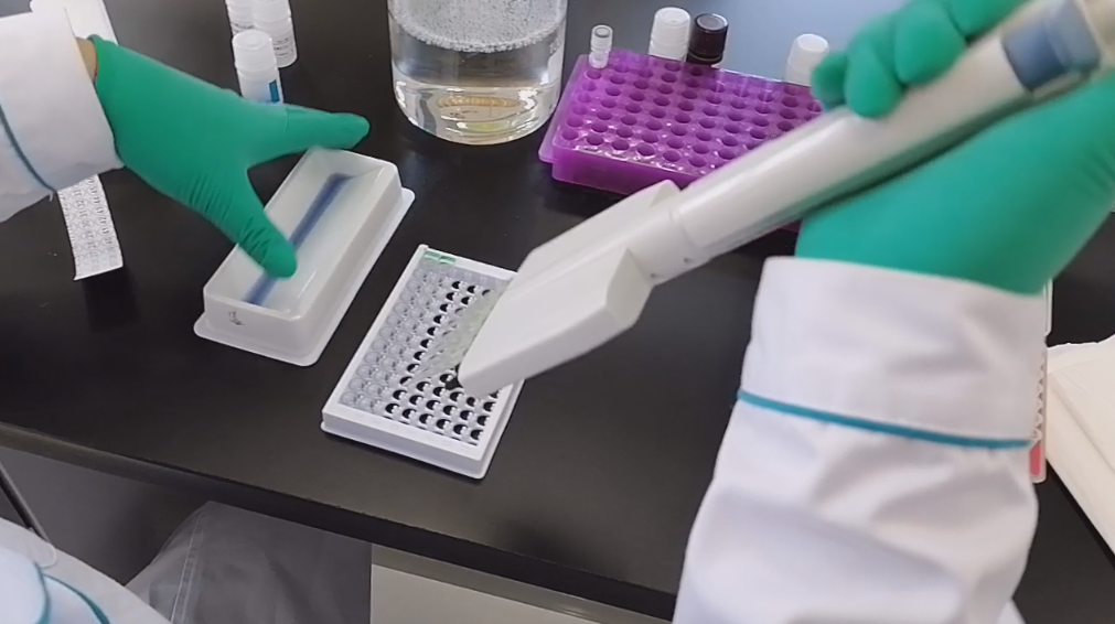 问题解析：荧光定量PCR反应结束无扩增曲线(图1)