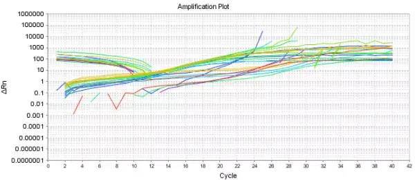 那些令人犯晕的PCR异常曲线这里都讲了！（附解决方案）(图3)