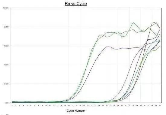 那些令人犯晕的PCR异常曲线这里都讲了！（附解决方案）(图1)