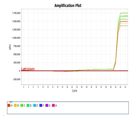 PCR异常扩增曲线原因及案例分析(图5)