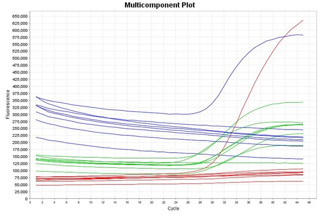 PCR异常扩增曲线原因及案例分析(图6)