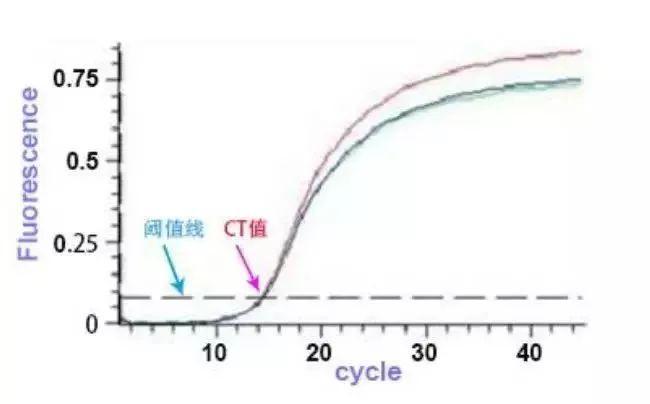 PCR异常扩增曲线原因及案例分析(图1)