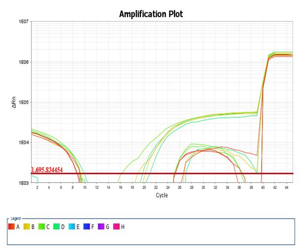 PCR异常扩增曲线原因及案例分析(图4)