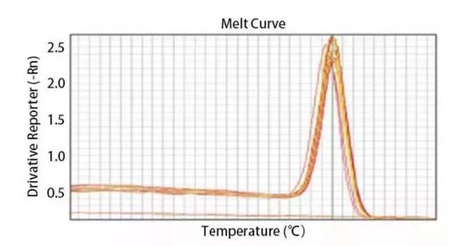 PCR异常扩增曲线原因及案例分析(图3)