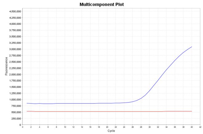 PCR异常扩增曲线原因及案例分析(图8)