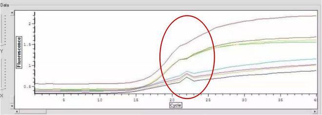 PCR异常扩增曲线原因及案例分析(图14)