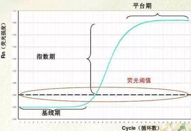 PCR异常扩增曲线原因及案例分析(图15)