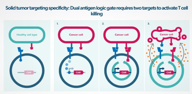 2024年全球AI制药融资TOP10(图8)