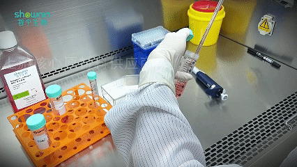 深入剖析如何高效扩增并保持人NK细胞的高纯度(图1)