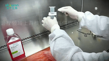 深入剖析如何高效扩增并保持人NK细胞的高纯度(图2)