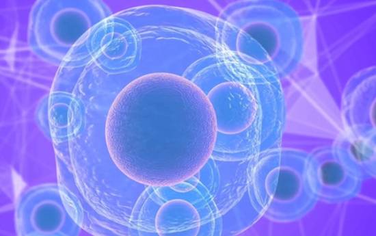 科学家成功诱导癌细胞自毁或将对抗癌产生重大影响(图1)