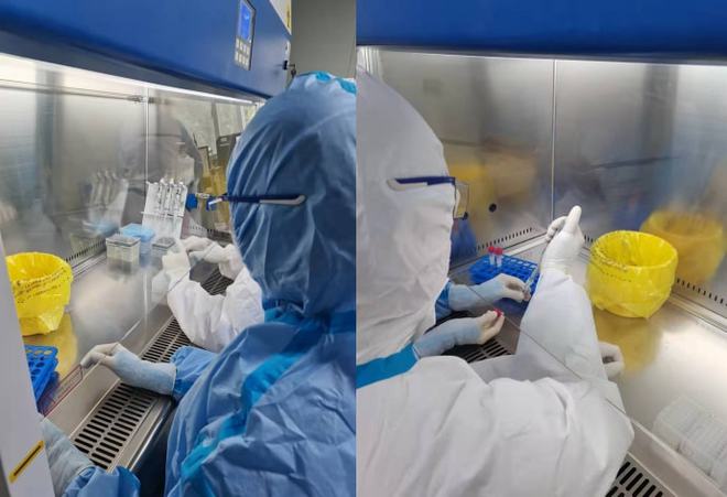 PCR异常扩增曲线案例分析与解决办法盘点！(图1)