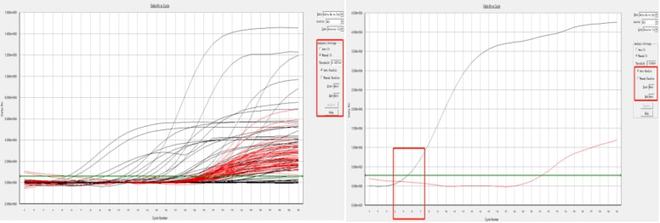 PCR异常扩增曲线案例分析与解决办法盘点！(图6)
