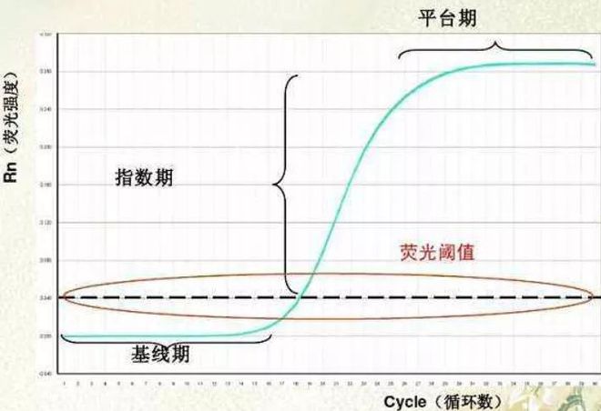 检验人那些令人犯晕的PCR异常曲线这里都讲了！(图8)