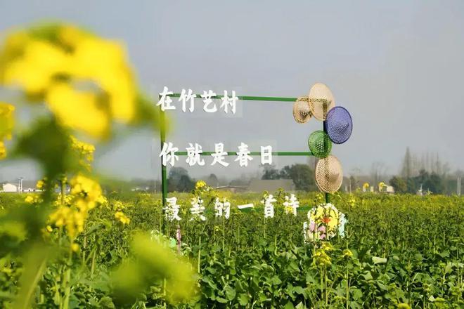 “无废城市”这样养成！这些单位完成“细胞”更新-拷贝(图5)