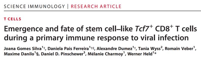 Science子刊：解开18年谜团发现这种关键T细胞的起源(图1)