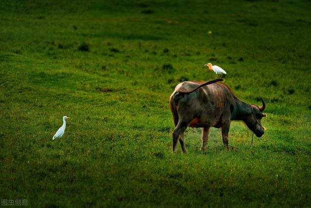 宇宙中除了地球生命之外还有其他生命吗？科学家给出解释(图5)