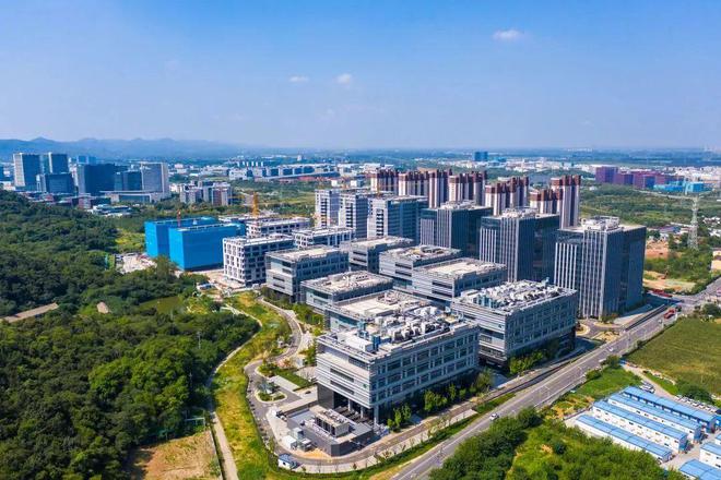 南京宝藏药谷里果然高手如云(图1)