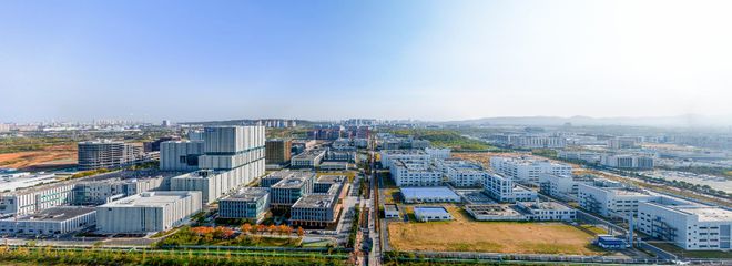 南京宝藏药谷里果然高手如云(图8)