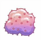 世界肿瘤日癌症并非绝症-预防行动指南(图2)