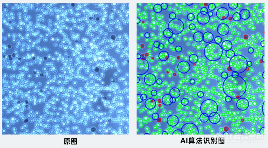 生物药关键质量属性（CQA）监测：细胞计数精准化的方法和应用(图3)