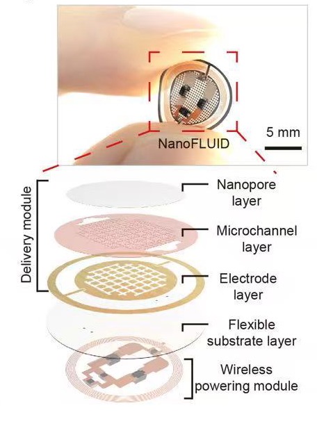 破解给药难题科研团队研发出器官“创可贴”(图1)