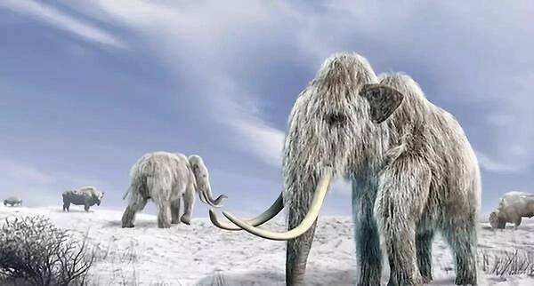 永久冻土逐渐融化内部封存的病毒会被释放从而影响人类吗？(图5)