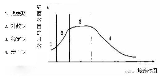 【干货分享】细菌生长曲线详解(图1)