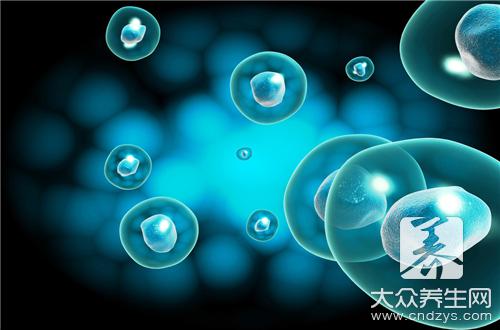 细胞排毒的真相(图1)