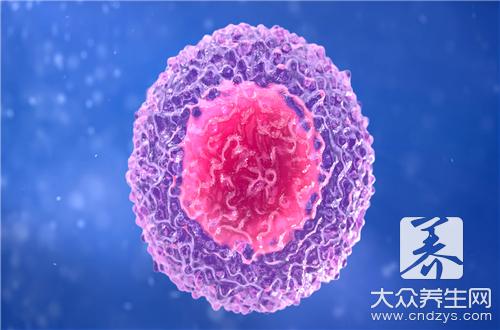 细胞排毒的真相(图2)