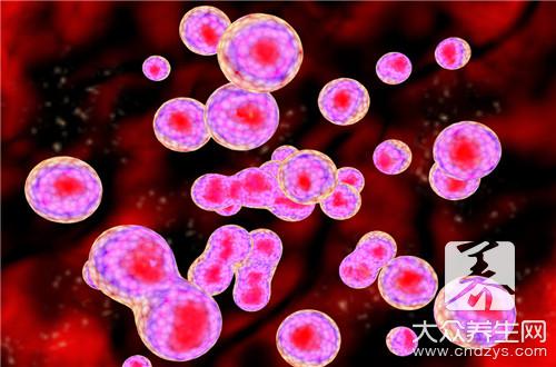 细胞排毒的真相(图3)